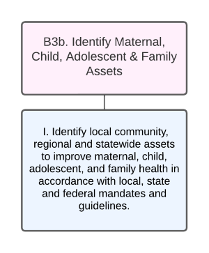 Organizational Chart of Identify Maternal, Child, Adolescent & Family Assets