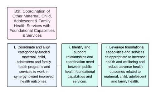 Organizational Chart of Coordination of Other Maternal, Child, Adolescent & Family Health Services with Foundational Capabilities & Services