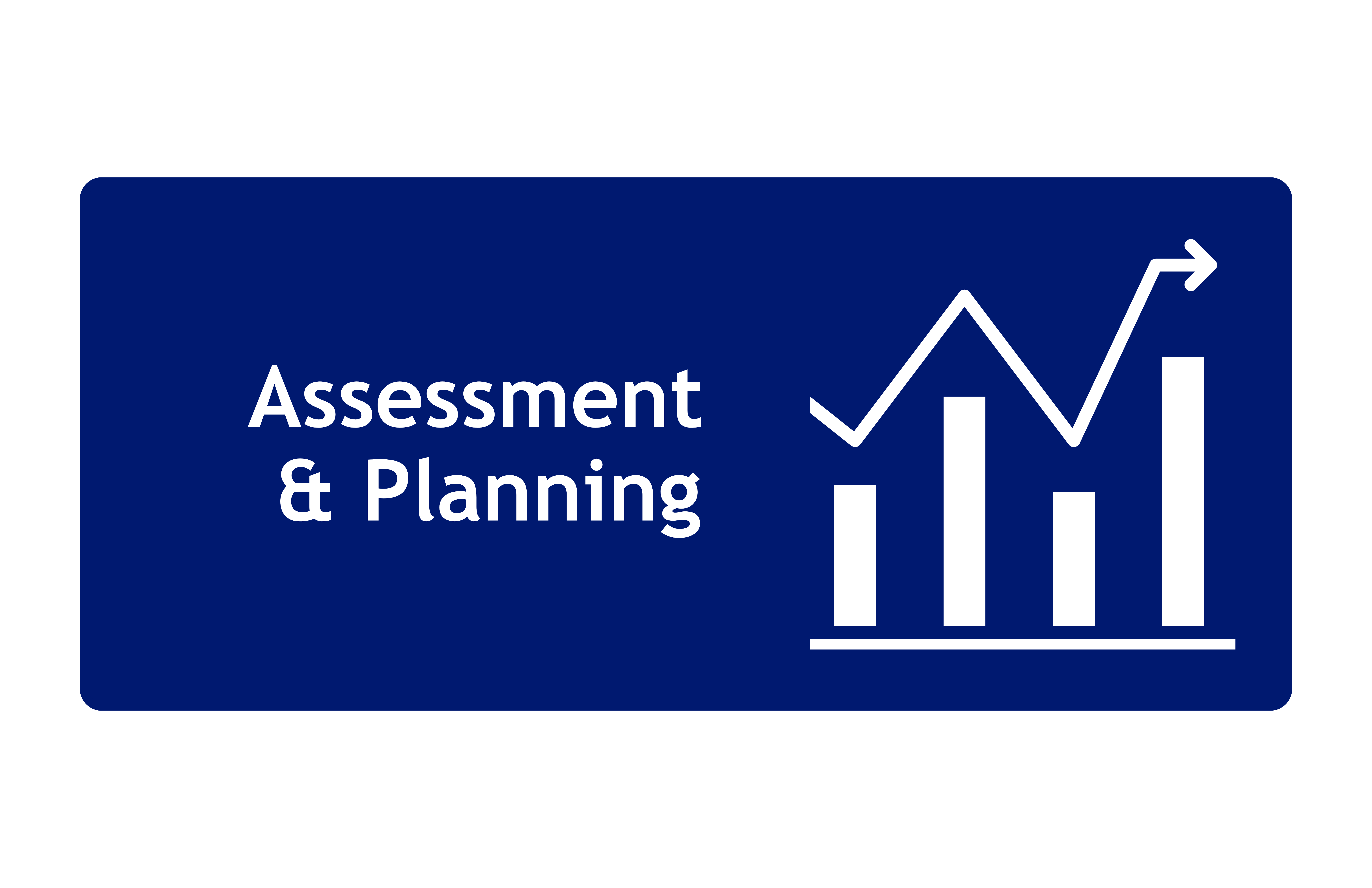 Icon of a bar chart indicating the assessment and planning foundational capability