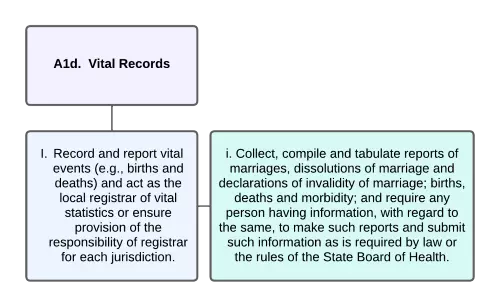 Organizational Chart of Vital Records